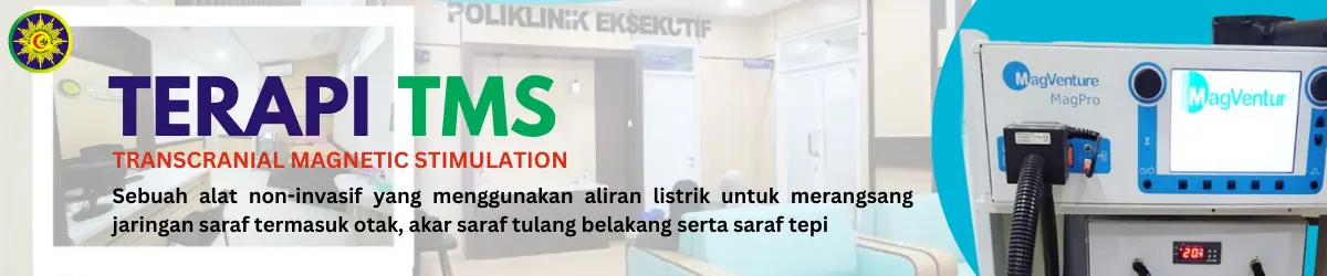 Terapi TMS